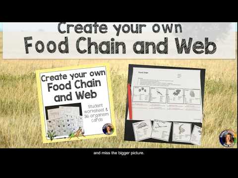 Food Web Cards