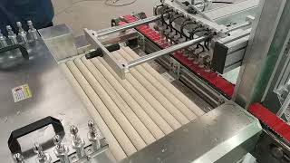 Microscope slide glass automatic loading and washing machine 载玻片等小片玻璃的自动清洗