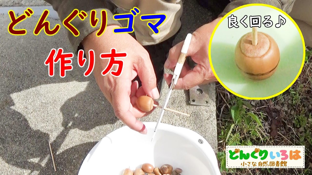 How to make acorn sesame seeds [Acorn crafts] - YouTube