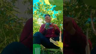 Hidup Sekali Nikmati Saja Bahagia Mu dj remix youtubeshorts trending shorts youtube