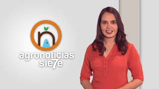 TITULARES AGRONOTICIAS sie7e PROGRAMA 226
