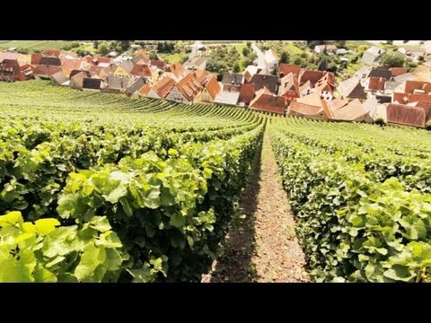 Video: Wie Man Champagner Von Sekt Unterscheidet