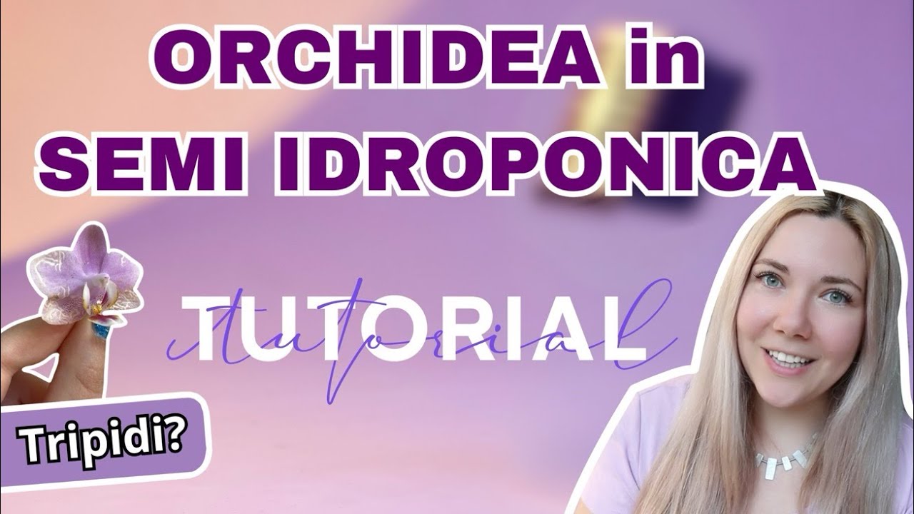 Orchidea infestata? Mettila in semi idroponica! Tutorial: phalaenopsis in semidroponica!