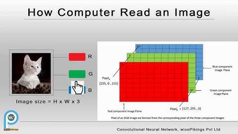 Convolutional Neural Network Tutorial (CNN) | Introduction to CNN | part-1