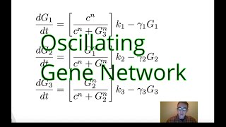 Lesson 7: Oscillating Gene Network