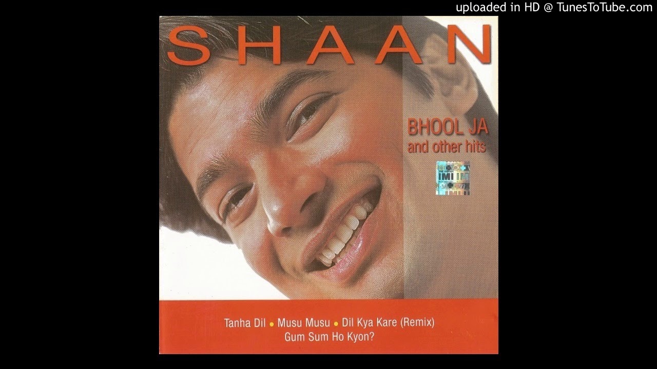  Bhool ja  other hits  Bhool Ja  shaan  hits  album  2000