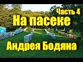 На пасеке Андрея Бодяна - Летний визит /Часть четвертая/