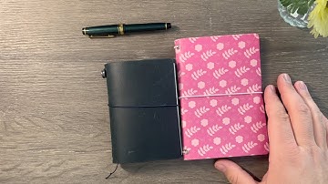 Dollar Tree Traveler