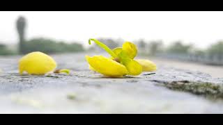 Village Morning Video Pls Use Head Phone