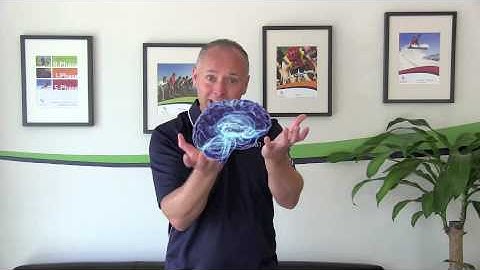 Brain-Based Training Video 1