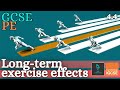 GCSE PE - LONG TERM EFFECTS OF EXERCISE - Anatomy and Physiology (Energy & Effects of Exercise 4.4)