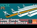 Long-term Effects of Exercise Quiz