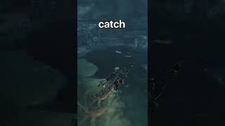 Catching A Fish In Monster Hunter Wilds