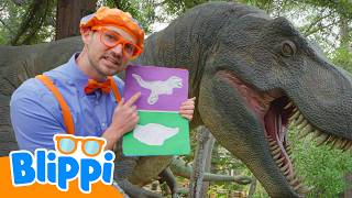 Blippi Explores the Natural History Museum 🦕🦖🌎 Blippi English