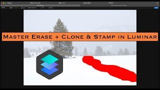 Master Erase + Clone and Stamp in Luminar