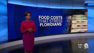Egg Crisis Hits Florida Shoppers Hard