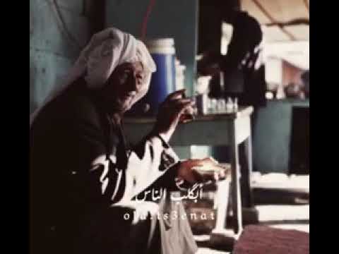 وين الطيبه بكلب الناس راحت وين