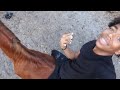 I jumped on a Wild Horse And This Happened