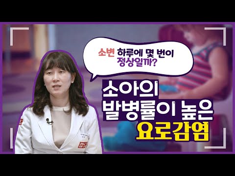 소변 하루에 몇번이 정살일까? 소아의 발병률이 높은 요로감염!