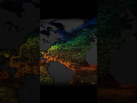 AMOC Collapse Is Coming Shorts 