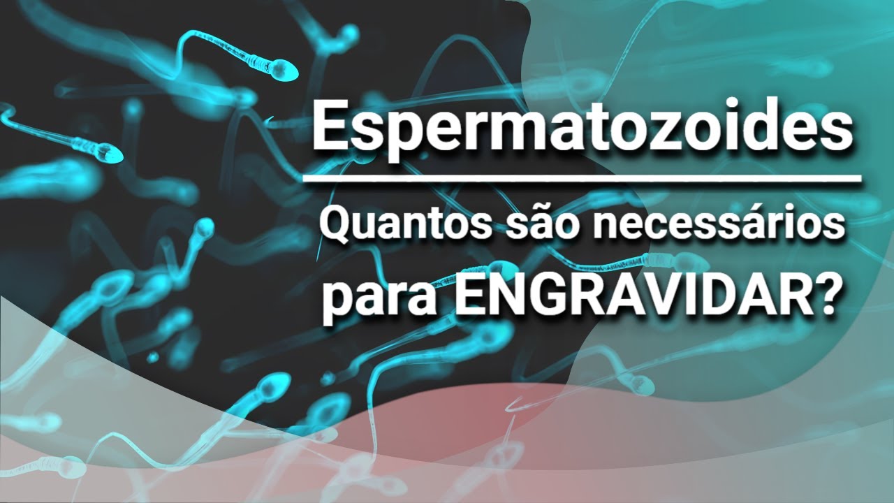 Quantos Espermatozoides São Necessários para Engravidar? Dr Raul Nakano Explica!