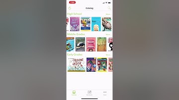 Open eBooks Demo