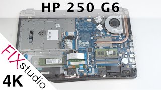 HP 250 G6 - disassemble [4k]