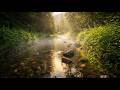 Soothing River Journey & Relaxing Music for Anxiety Relief, Calmness & Serenity 🌿🌊✨