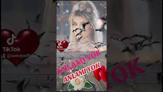 Savaş Ceylan Anlami Yok