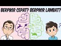 Berpikir Cepat dan Lambat - Mengenal 2 Sistem Kerja Otak