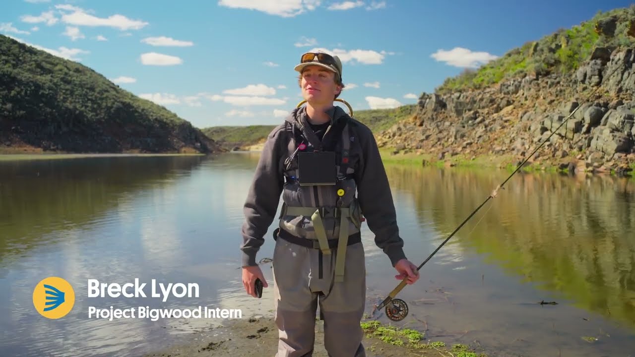 Big Wood Breakdown: Reading Water for Fly Choice
