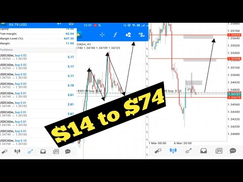 $14 to $74 Trading pair USDCAD || full margin account #usdcad #forexmarketanalysis #trading