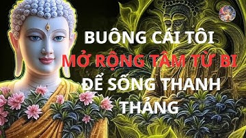 PHật pháp :  Phật Dạy Cách Buông Cái Tôi – Mở Rộng Tâm Từ Bi Để Sống Một Cuộc Đời Thanh Thản