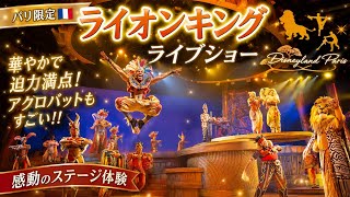 パリ限定】ライオンキングのライブショーが感動レベル