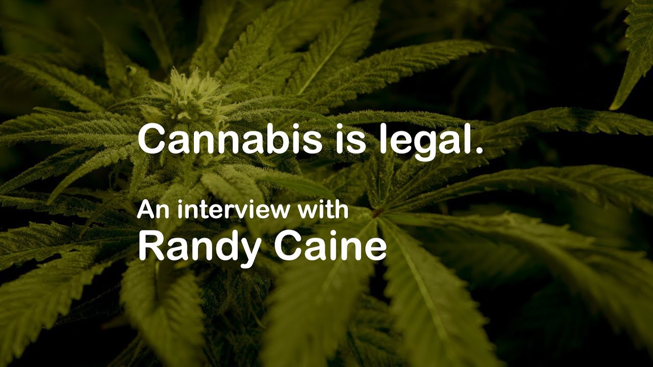Cannabis is legal (in Canada). An interview with Randy Caine.