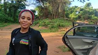 SANDA LASSA FAIT SHOW