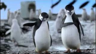 LG Elektronik Green Health Reklamı