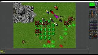 Old Tibia - High lvl Paladin blocking the Old Widow (2005 7.6)