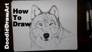 Drawing How To Draw A Wolf Face Step By Step Arctic Wolf Sketched Or Grey Wolf Painted Youtube