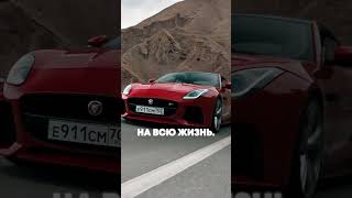 Лучшая инвестиция - эмоции