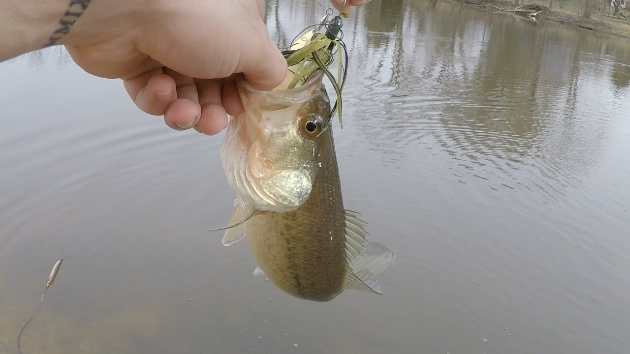 Trying To Catch The Worlds Smallest BASS YouTube
