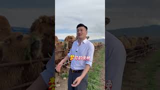 In This Situation I Want To Send You A Song  I Hope All Of You Can Be Happy Warm Peaceful And