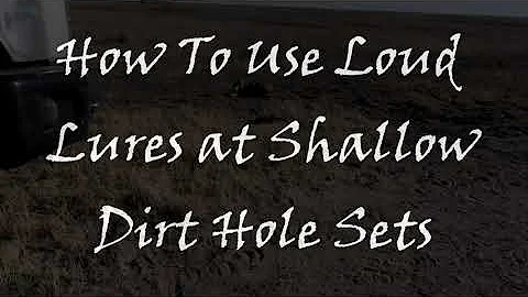 How To Use Loud Call Lures at Small Dirt Hole Sets