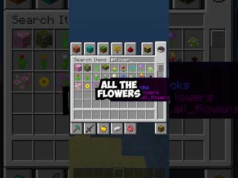 The Most Amazing Minecraft FACTS!