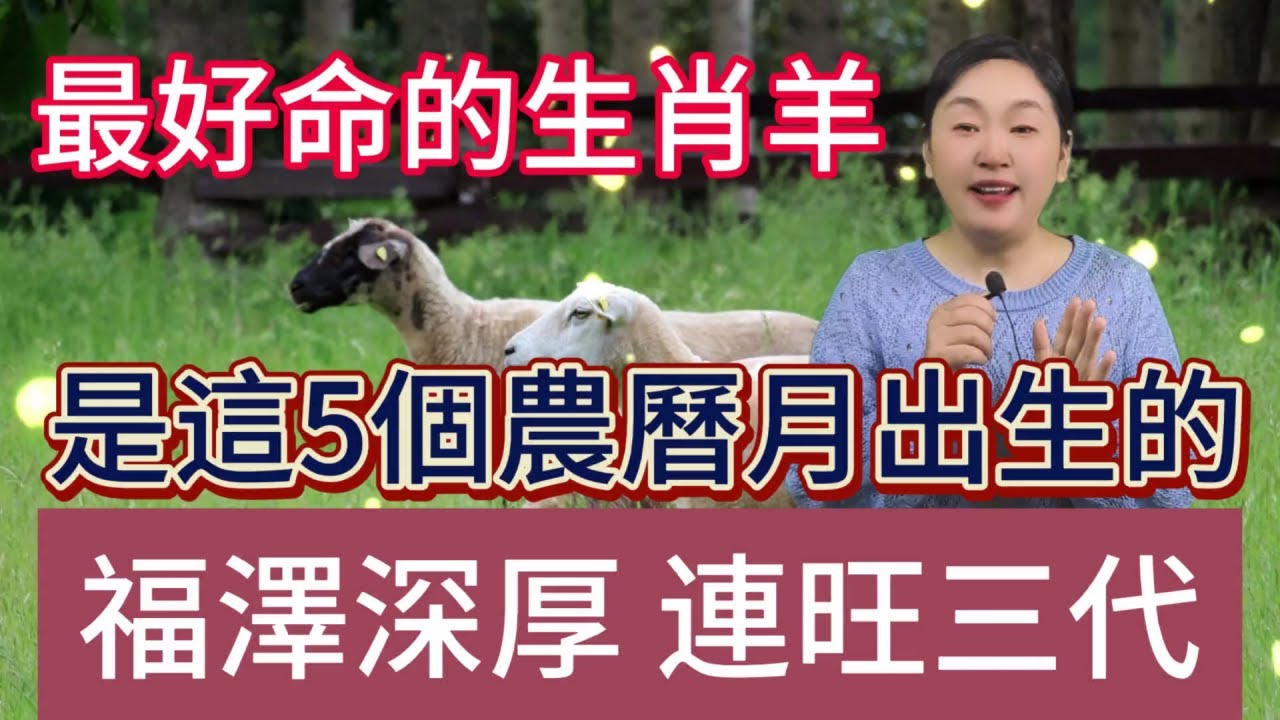 最好命的生肖羊！原來是這5個農曆月出生的！天生富貴！一生福澤深厚！連旺3代！#風水 #運勢 #生肖 #2024