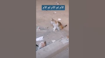 #الأمممممممممم😭😢😢 القارئ محمد هشام ورد