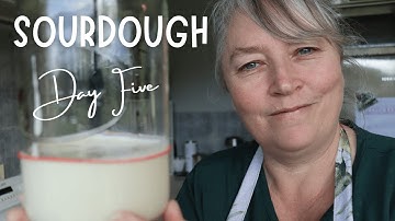 DAY FIVE Sourdough Starter | Let