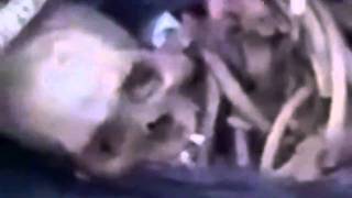 Orrore In Libia - Fosse Comuni Scoperte A Tobruk.