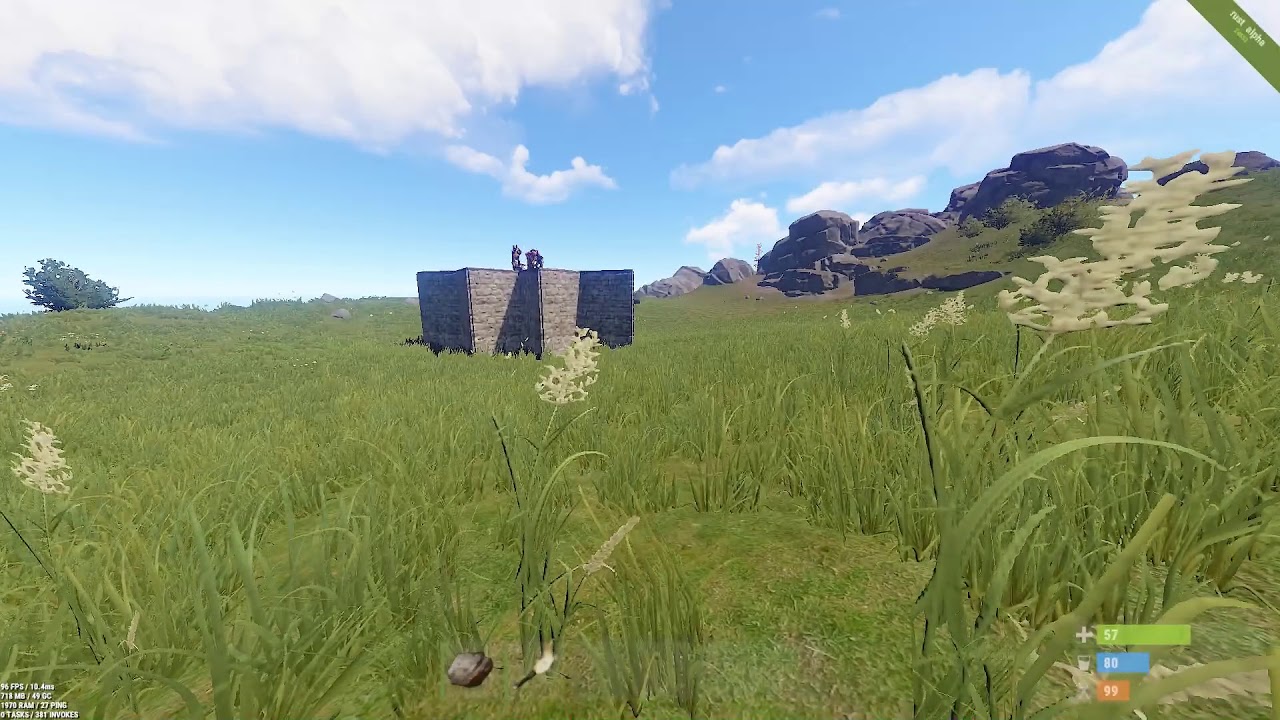 Idiots from RustOps group of 5