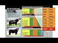 Dairy Beef Index Introduction May 2022